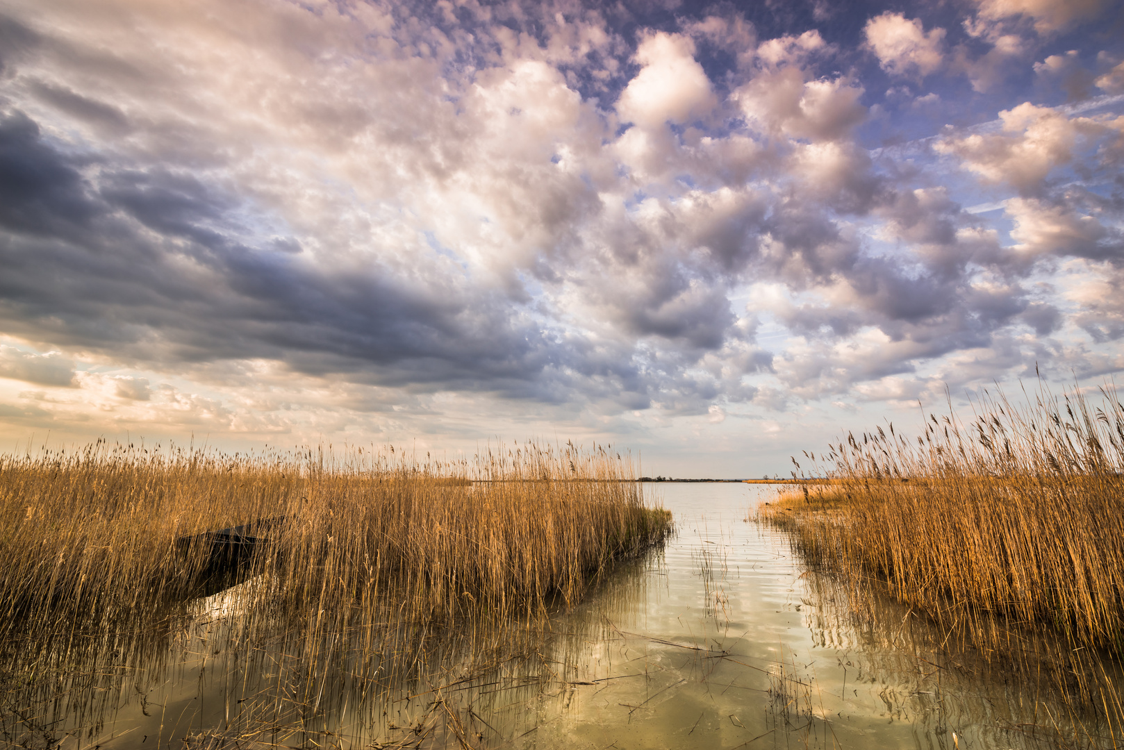 Seewinkel im nördlichen Burgenland.