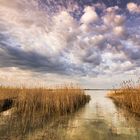 Seewinkel im nördlichen Burgenland.