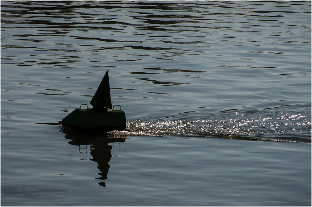 Seezeichen auf der Donau