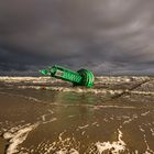 Seezeichen - Strandgut nach Herbststurm