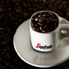 Segafredo 2