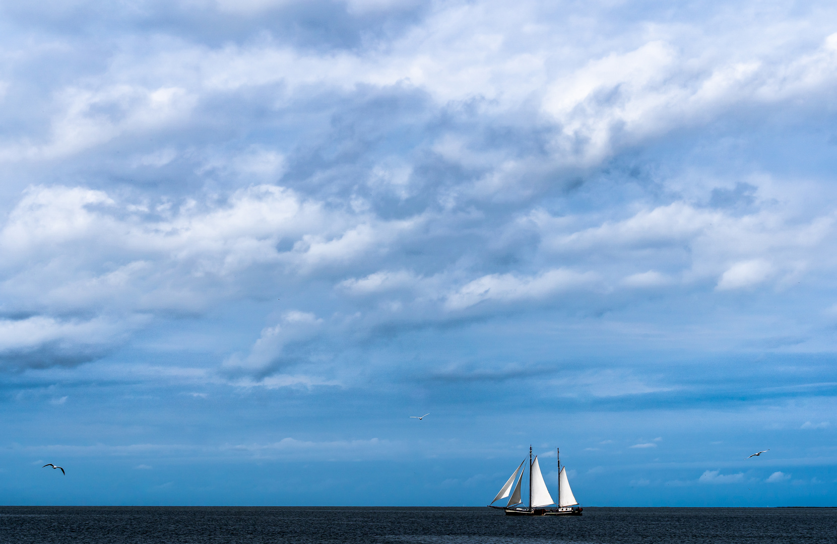 Segel auf dem Ijsselmeer