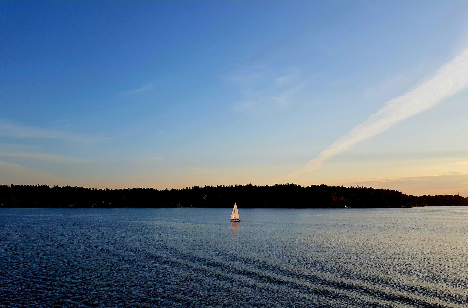 Segel im Abendlicht