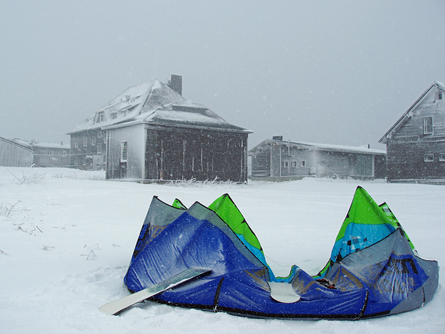 Segel im Schnee