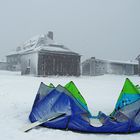 Segel im Schnee