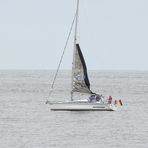 Segel reffen vor dem Hafen Cuxhaven