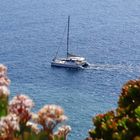 Segelausflug auf Madeira