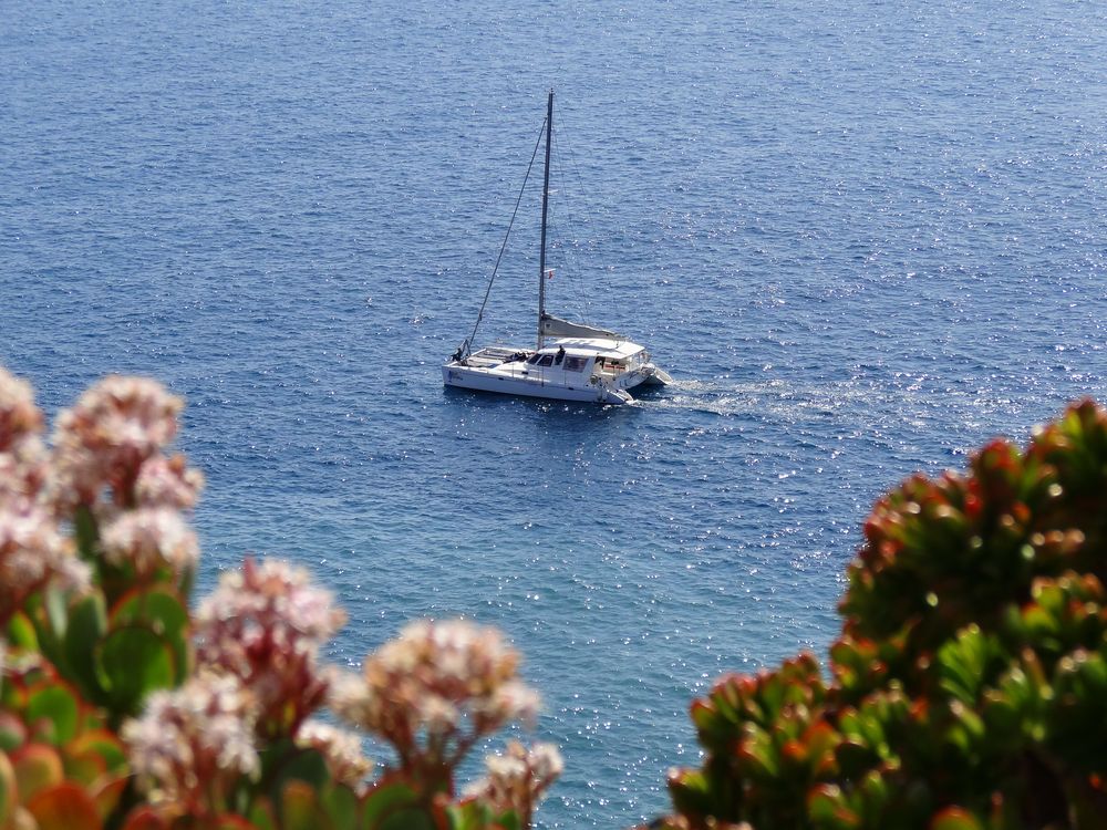 Segelausflug auf Madeira