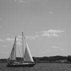 Segelboot am Müritzsee