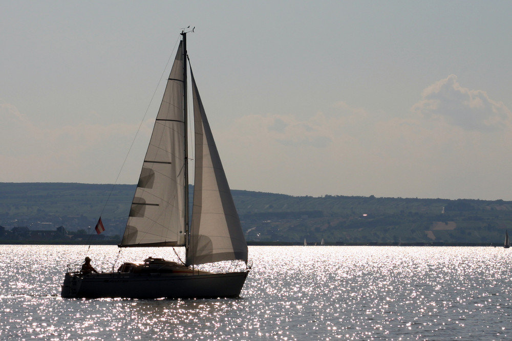 Segelboot am Neusiedlersee