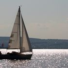 Segelboot am Neusiedlersee