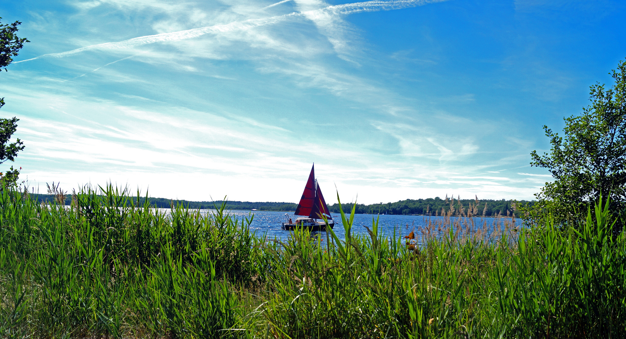 Segelboot auf dem Bergwitzsee