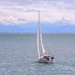 Segelboot auf dem Bodensee