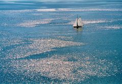 Segelboot auf dem Bodensee