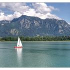 Segelboot auf dem Foggersee