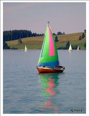 Segelboot auf dem Forggensee