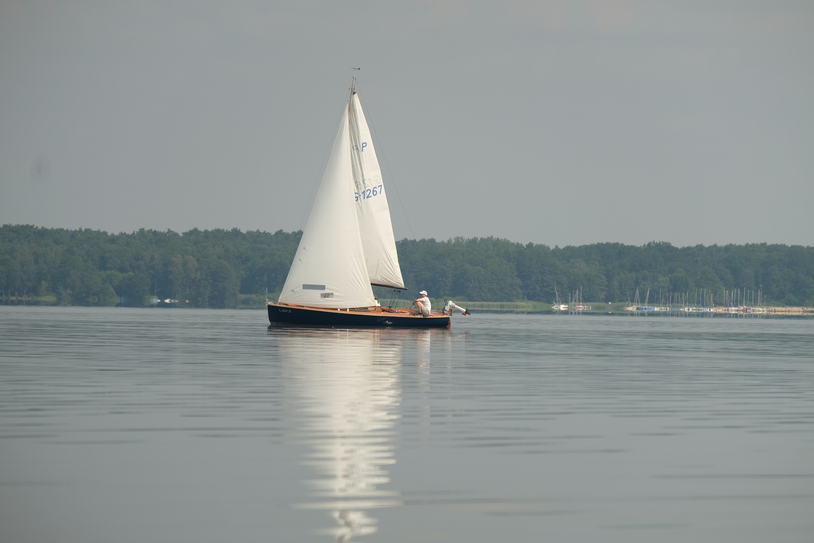 Segelboot auf dem Steinhuder Meer