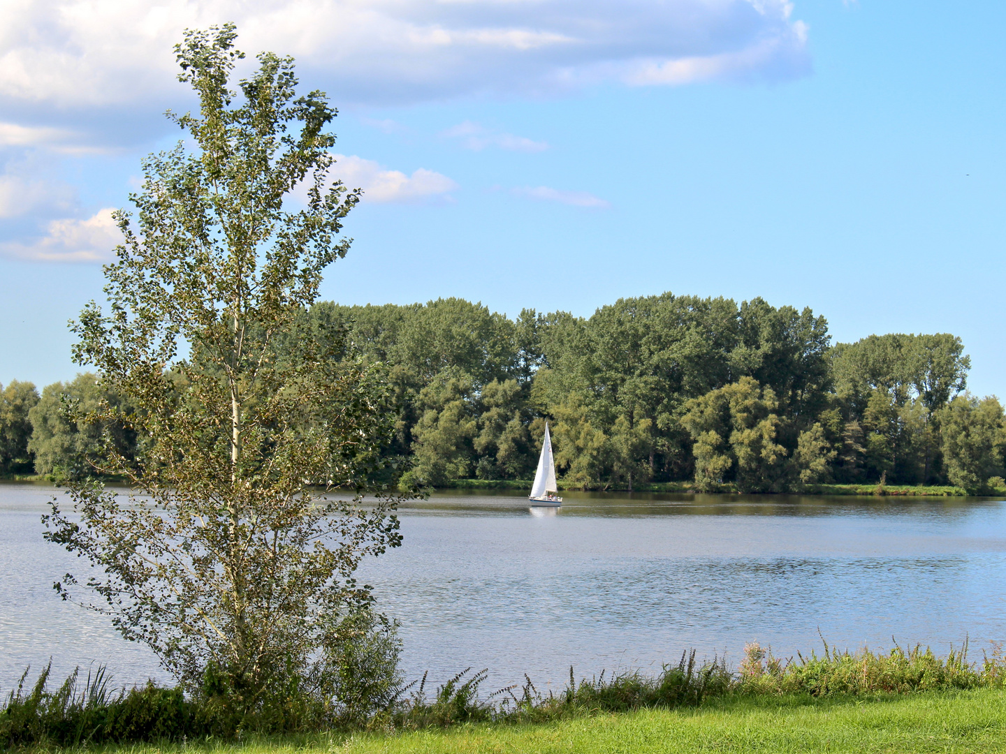 Segelboot auf dem Vörder See