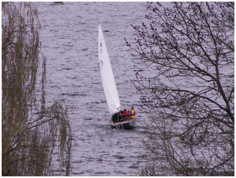 Segelboot auf Plöner See