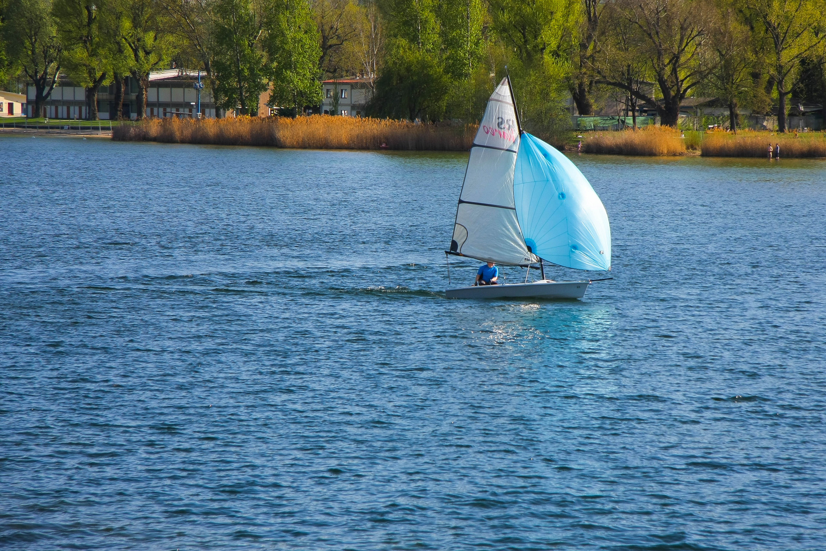 Segelboot