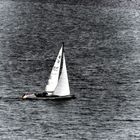 Segelboot 