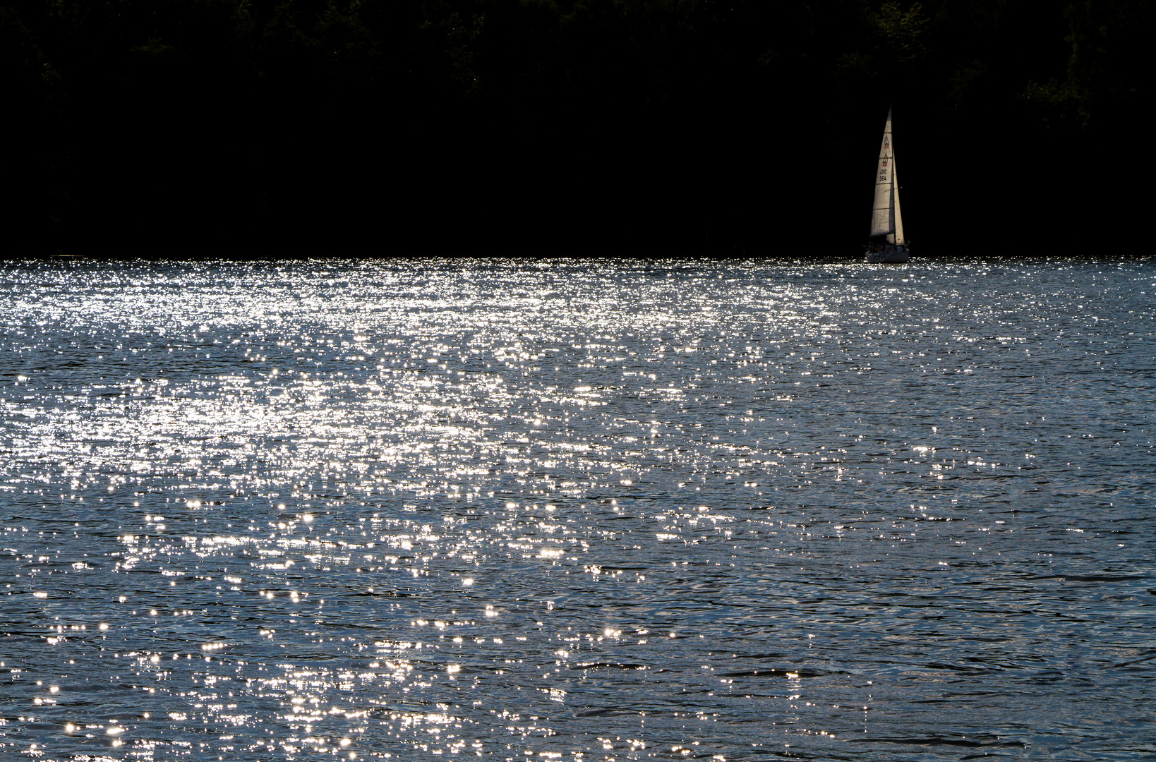 Segelboot im Gegenlicht