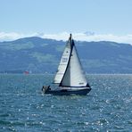 Segelboot im Gegenlicht...