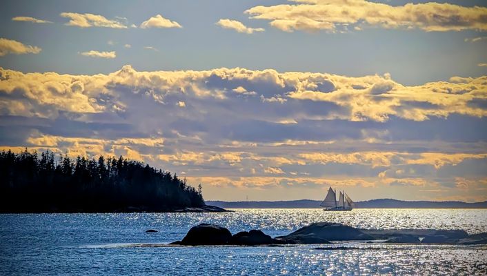 Segelboot im Gegenlicht