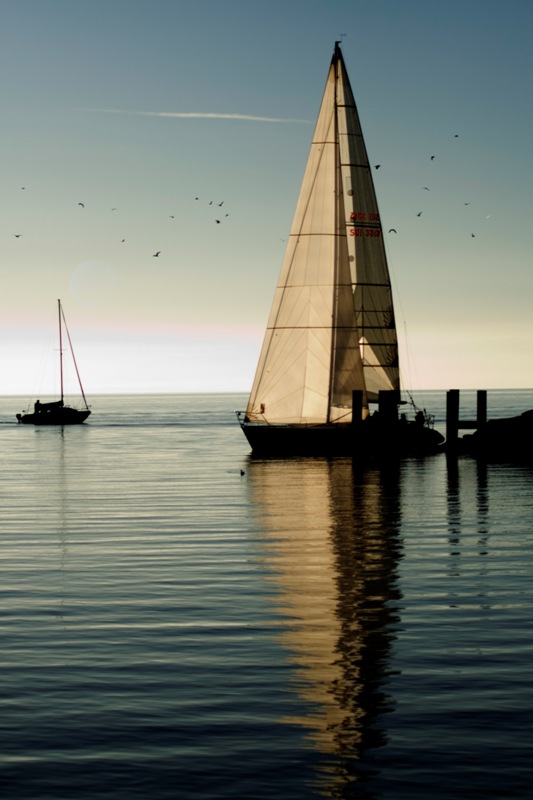 Segelboot im Hafen von Ouchy (CH)