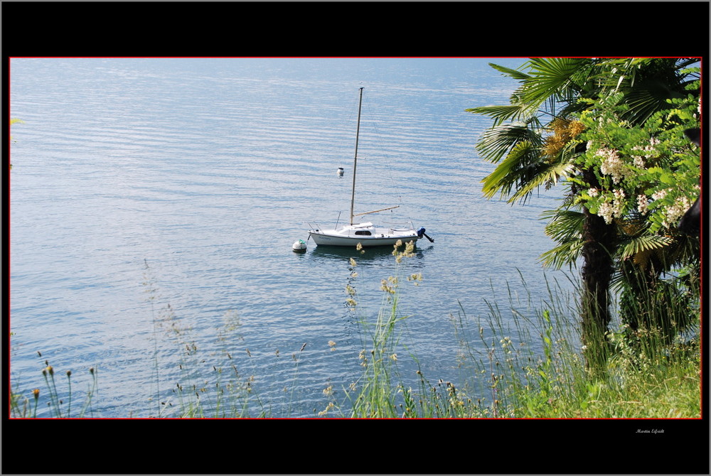 Segelboot im Lago. Foto & Bild landschaft, bach, fluss & see, see