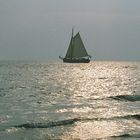 Segelboot im Sonnenlicht/ Ameland