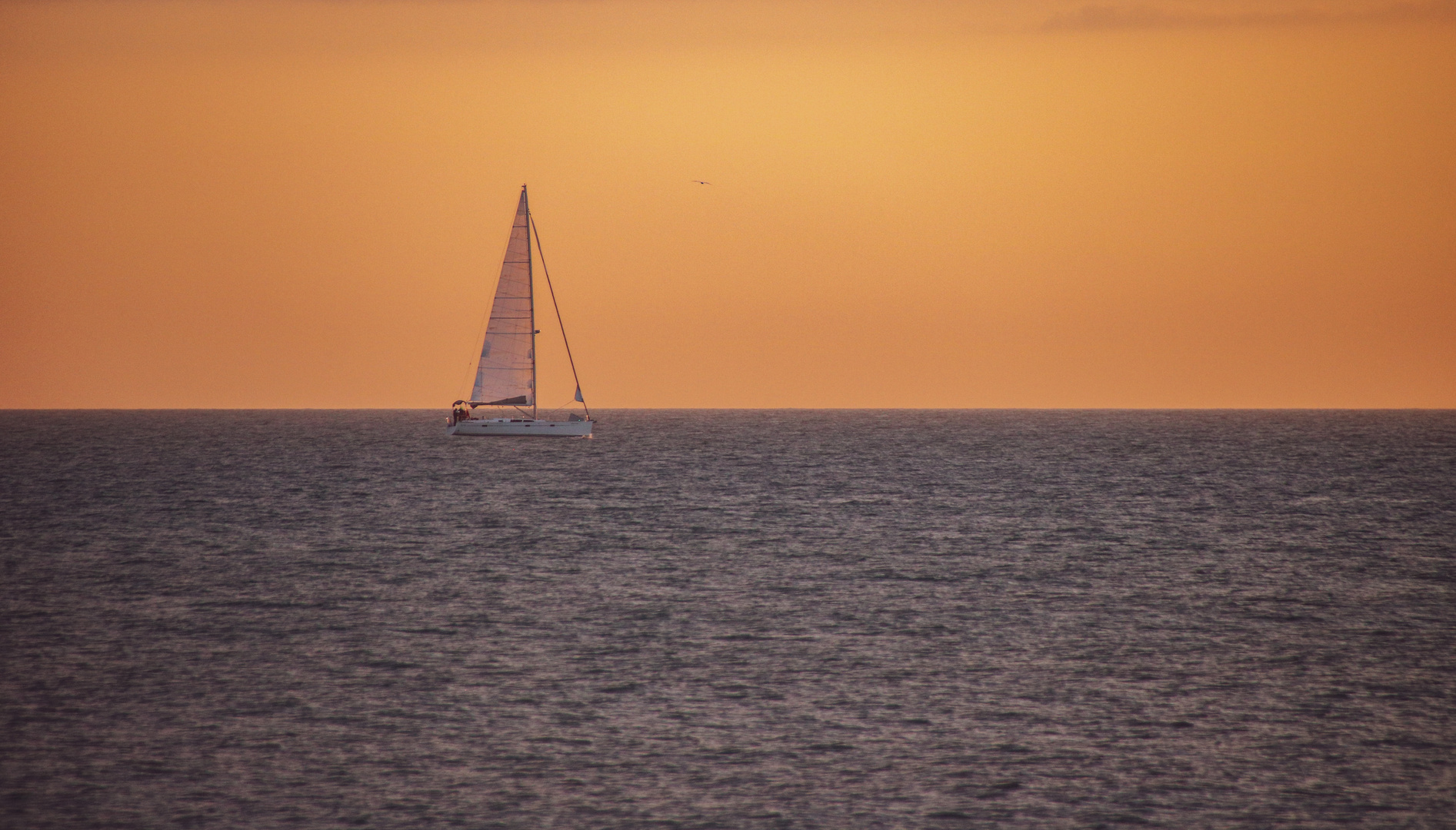 Segelboot im Sonnenuntergang