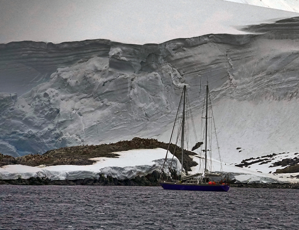 Segelboot in der Antarktis