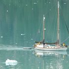 Segelboot in der Glacier Bay