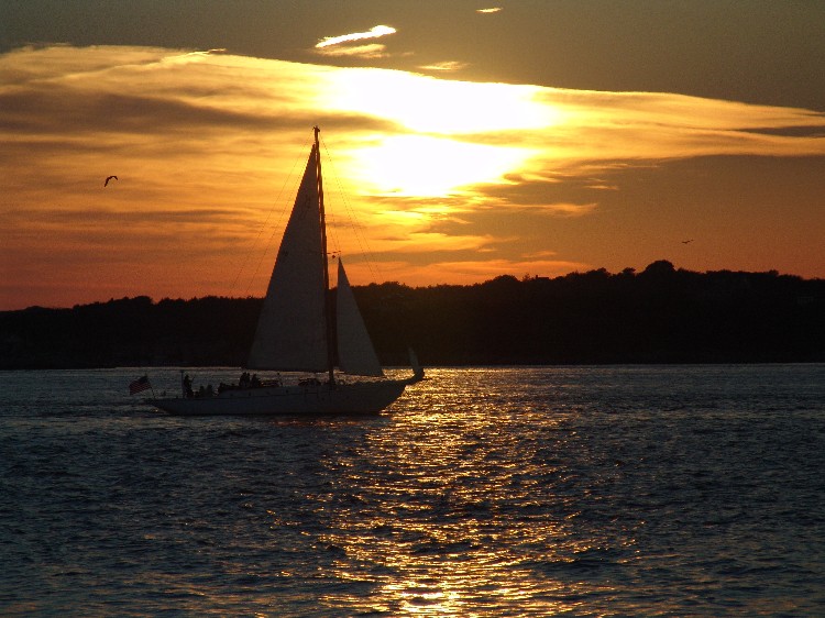 Segelboot in Newport