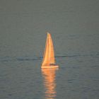 Segelboot mit goldene Segel IMG_1404