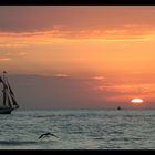 Segelboot vor Key West