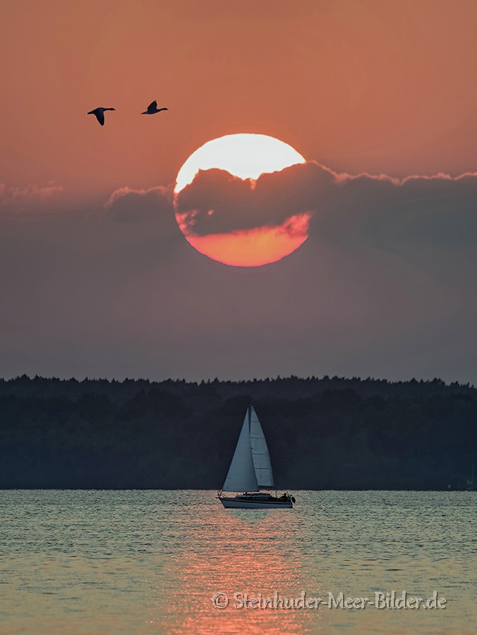 Segelboot vor untergehender Sonne auf dem Steinhuder Meer