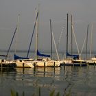 Segelboote am Chiemsee