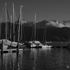 Segelboote am Luzerner See