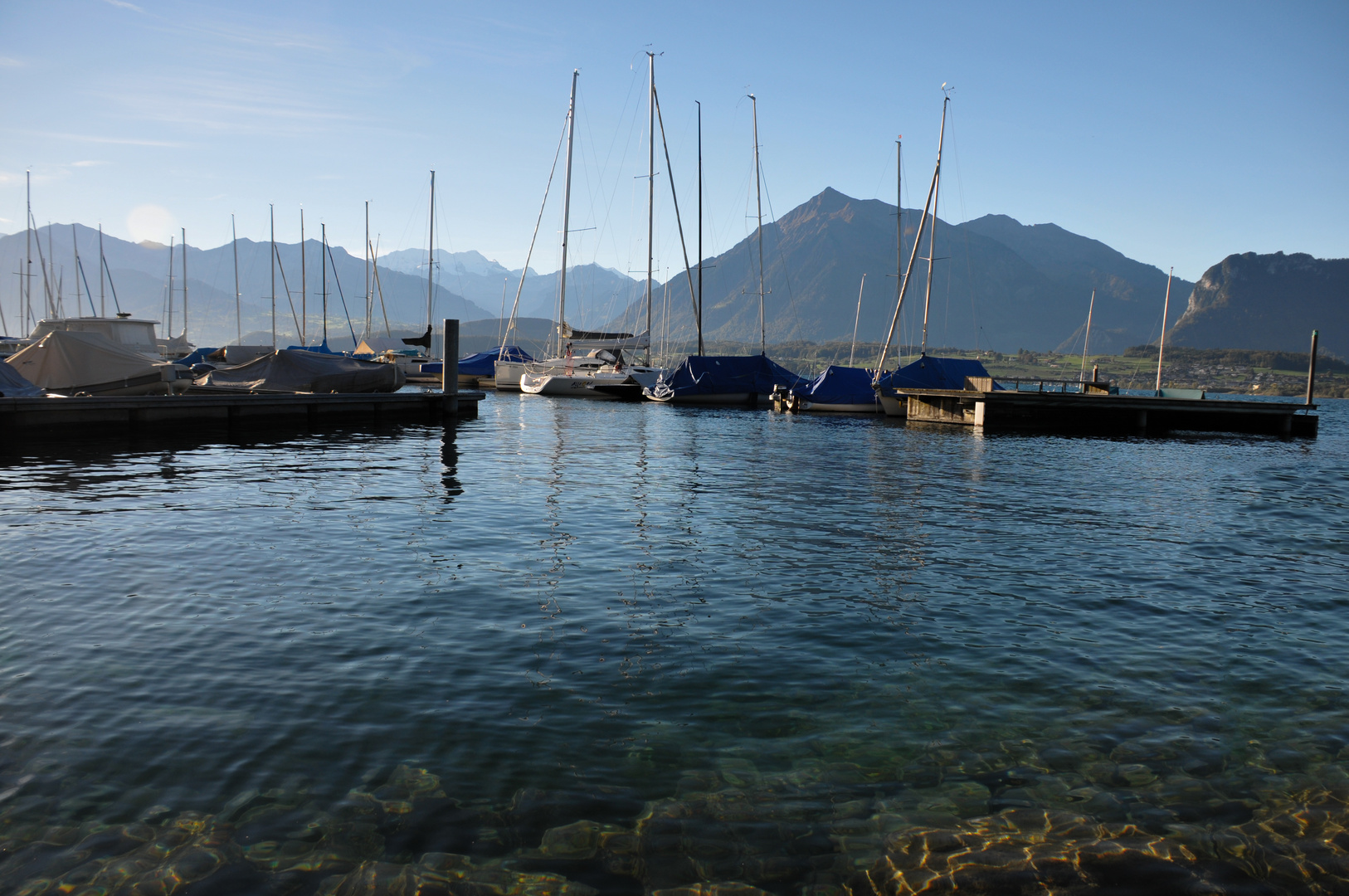 Segelboote am Thunersee