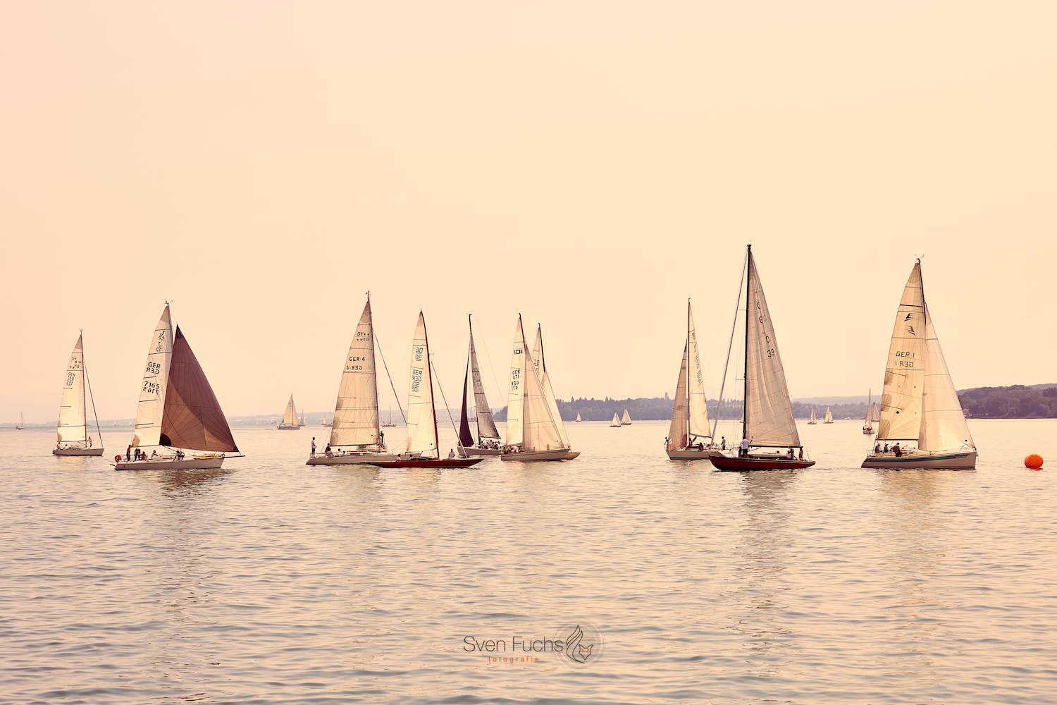 Segelboote auf dem Bodensee