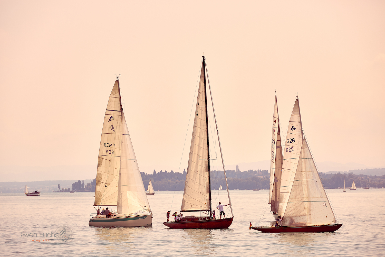 Segelboote auf dem Bodensee