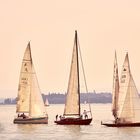 Segelboote auf dem Bodensee