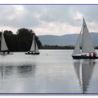 Segelboote auf dem Freizeitsee