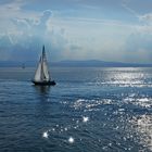 Segelboote auf dem glitzernden Bodensee