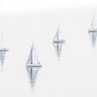 Segelboote auf dem  Lago Maggiore