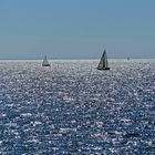 Segelboote auf dem Markermeer