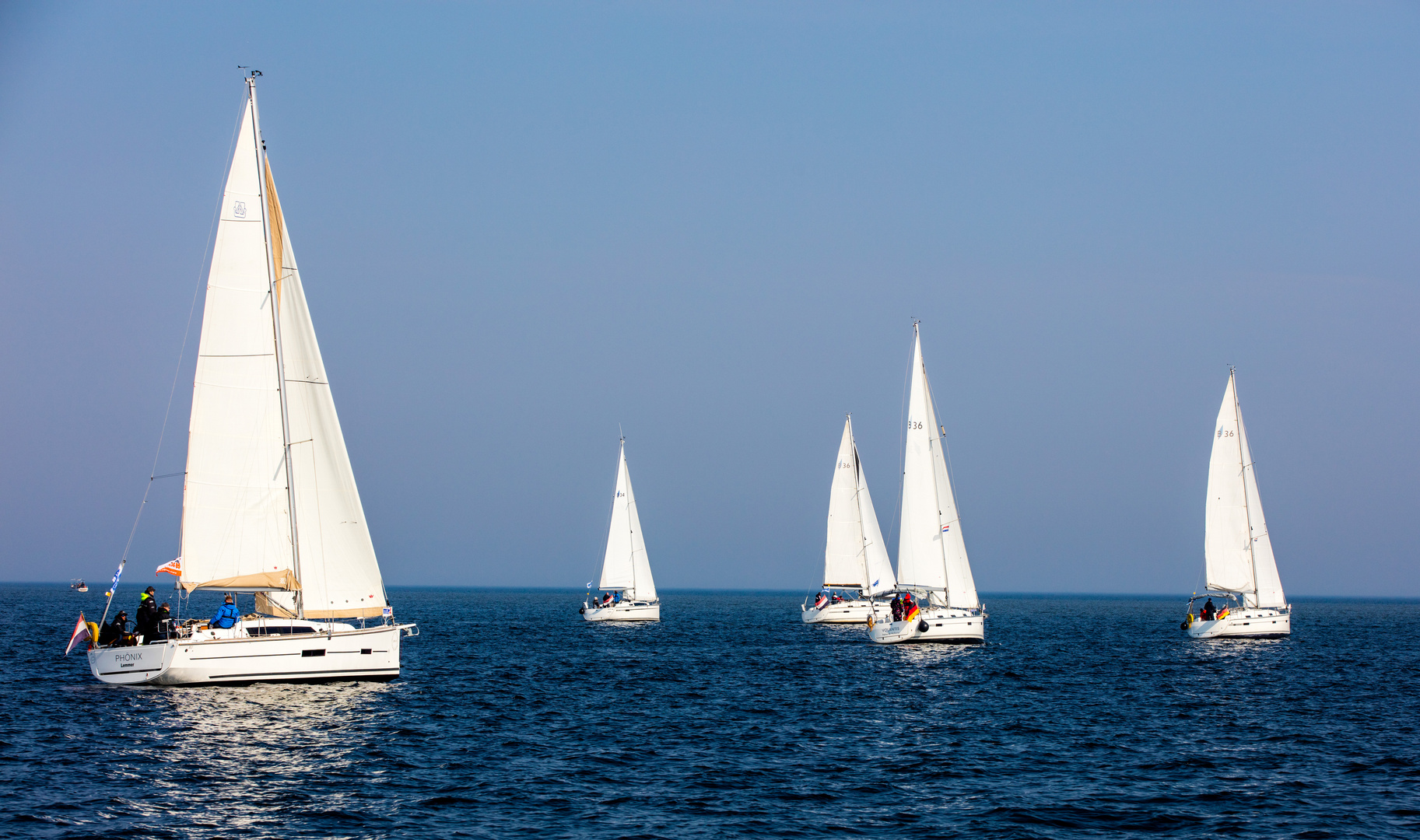 Segelboote bei der Regatta auf dem Ijsselmeer Foto & Bild | europe