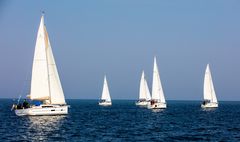 Segelboote bei der Regatta auf dem Ijsselmeer